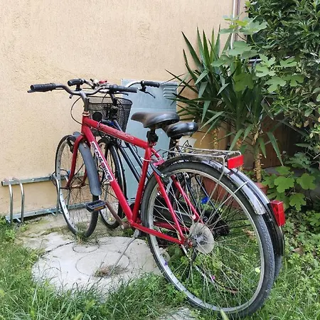 Calypso * Σενιγκάλια