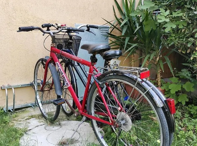 Calypso * Σενιγκάλια